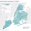 Interactive Map: New NYC Data Gives Day-By-Day Look At Neighborhood COVID-19 Rates